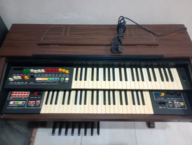 Órgão Eletrônico