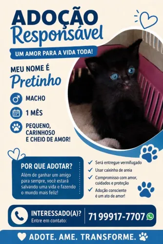 Adoção Filhote Pretinho