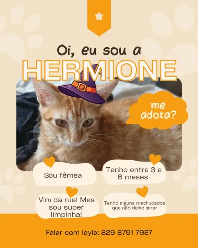 Adoção de Hermione!! 