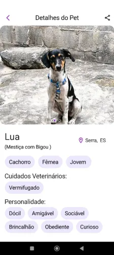 Doação de cachorra