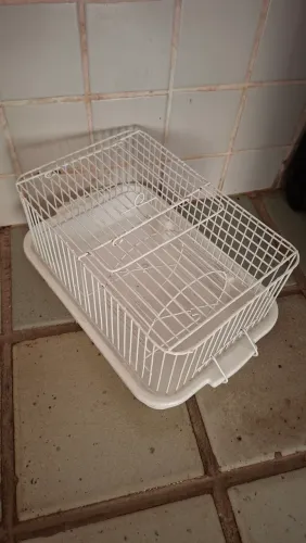 Casinha de Hamster Roedores para Doação
