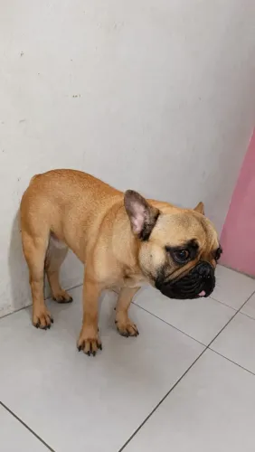 Vendas