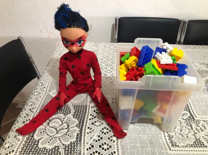 Lote de brinquedo 