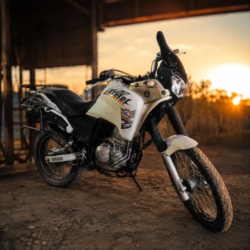 Yamaha XTZ 250 Tenere/tenere Blueflex 2016
