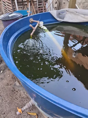 Aquário 1000 litros