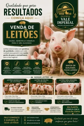 Leitões