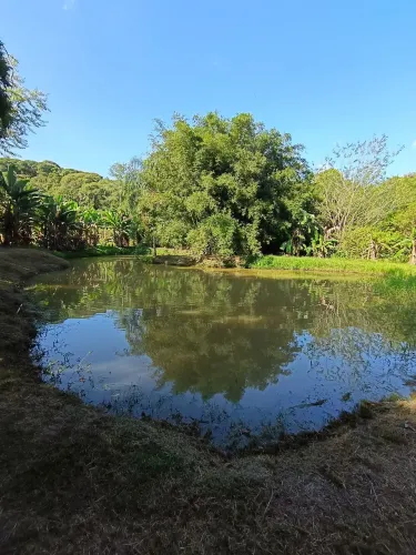 Chácara em Morretes aceito troca por casa em Pontal do Paraná 