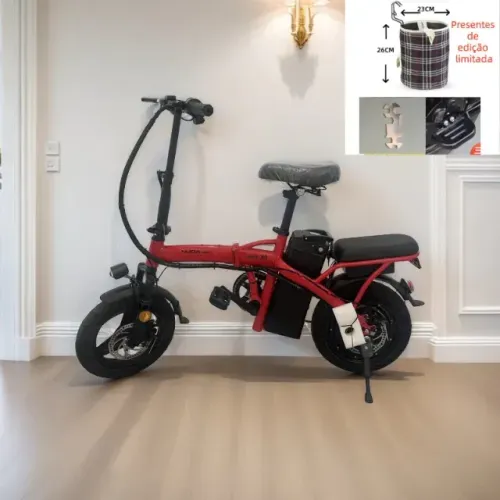 Bicicleta elétrica ! 