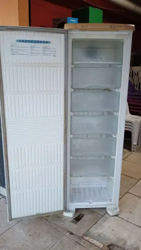 Freezer vertical 