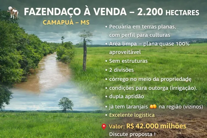 Fazenda Camapuã MS 2.200 Hectares Pecuária 