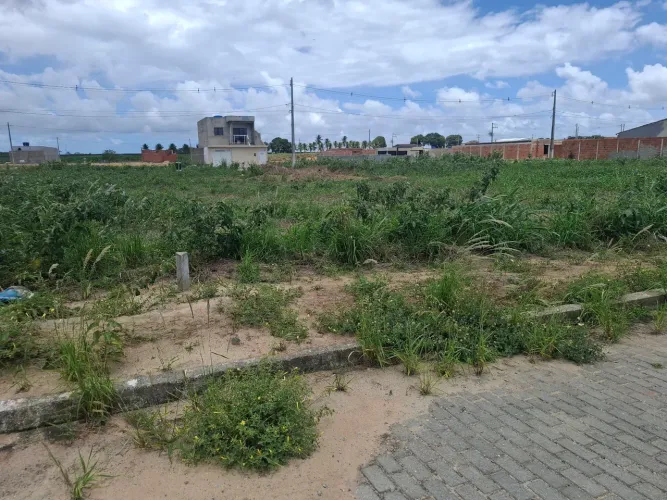 Vende terreno 