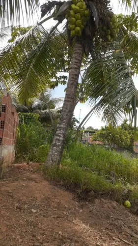 Vendo terreno em São Tomé de Paripe