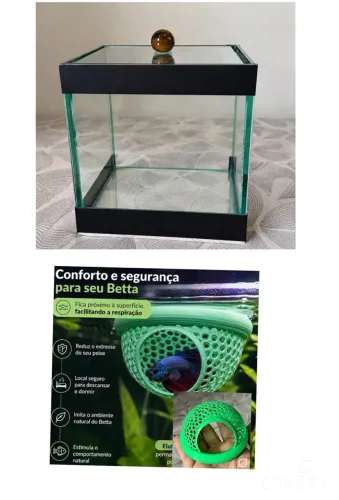Beteira mais descansa Betta