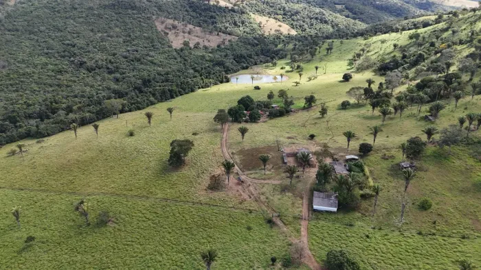 Sítio 10 alqueires 48.5 hectares