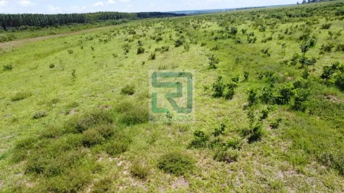 MATO GROSSO DO SUL - Fazenda 1.350 hectares em Dois Irmãos do Buriti
