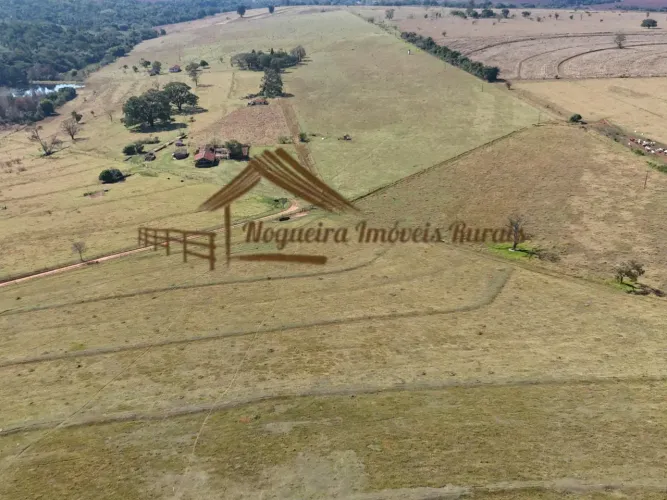 Fazenda com 46 alqueires na região de Avaré-SP