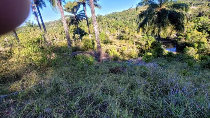 Vendo fazendinha em Valença Bahia 