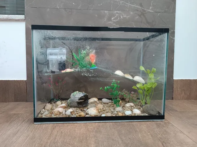 Aquaterrário com decorações