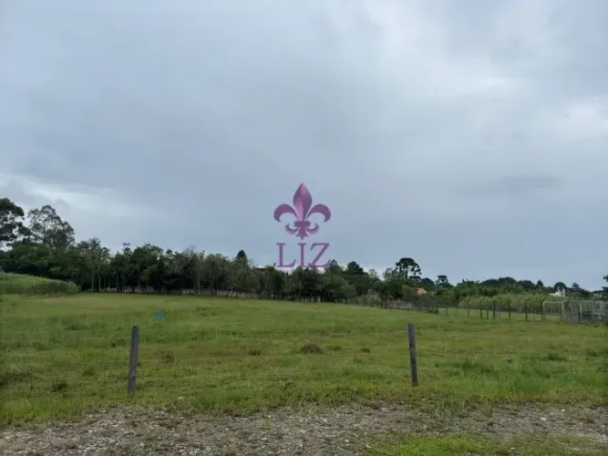 Lotes à venda em Quatro Barras