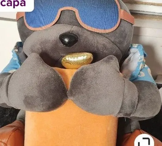 Lixeira nova para carro