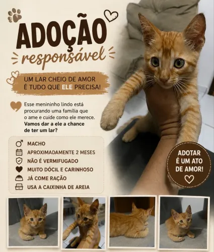 Adote
