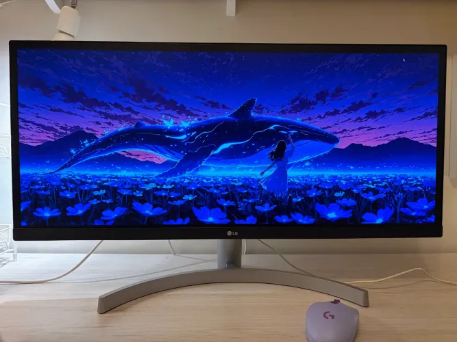 Monitor LG 29" UltraWide 29wk600-w FullHD Som embutido