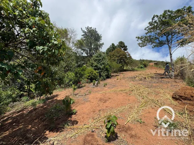 Terreno à venda, 1040 m² - Campo do Coelho - Nova Friburgo/RJ