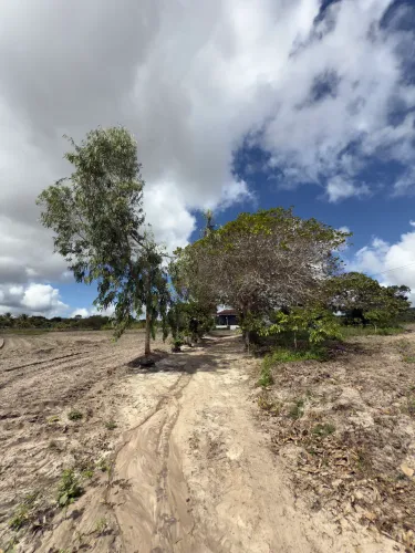 Sítio com Casa e 9.032 m² | Água, Energia, internet e Árvores Frutíferas | São João-PE