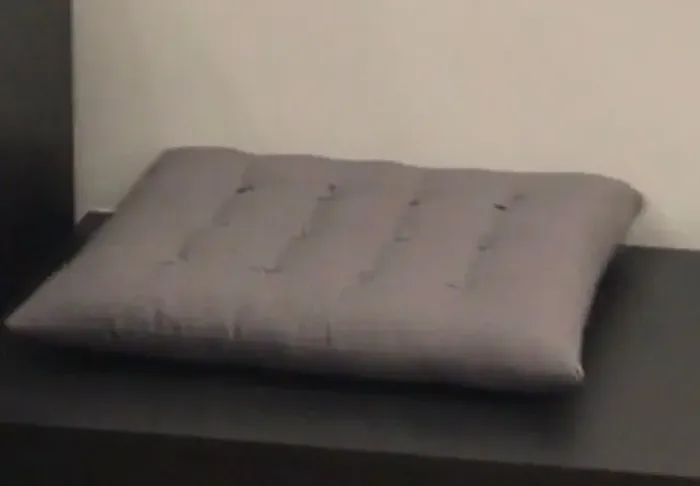 03 Futons 55 x 45 x 5CM  (L x C x A)