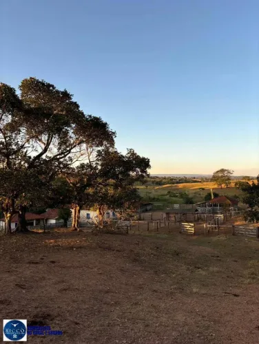 Fazenda à venda em Morrinhos/GO | 47 Alqueires | Rica em Água