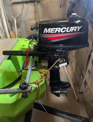 Motor mercury