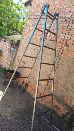 Escada de poda