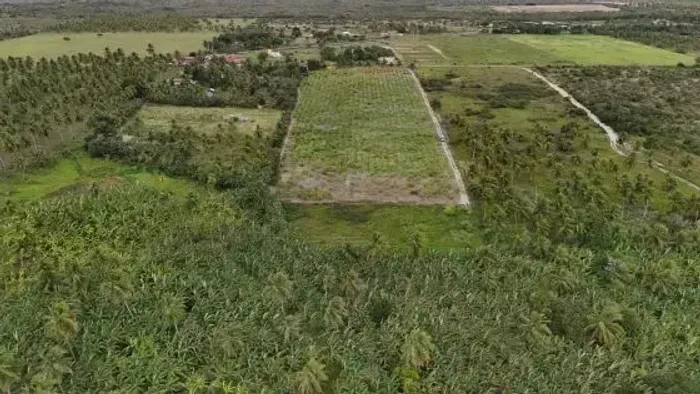 Granja com 12 hectares em punau cortada pelo rio punau