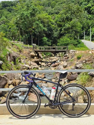 Bicicleta Trek Domane AL2 (AL 2)
