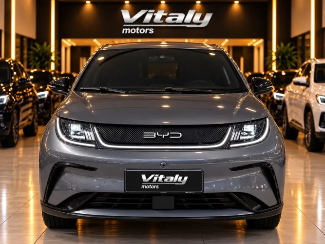 BYD Dolphin Plus (Elétrico) 2024