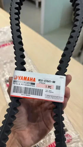 Correia Xmax 250 Seminova original