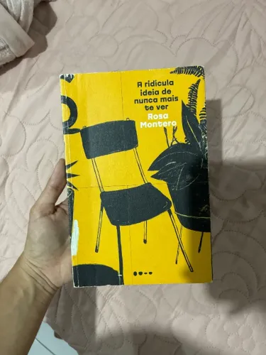 livro a ridícula ideia de nunca mais te ver Rosa monteiro