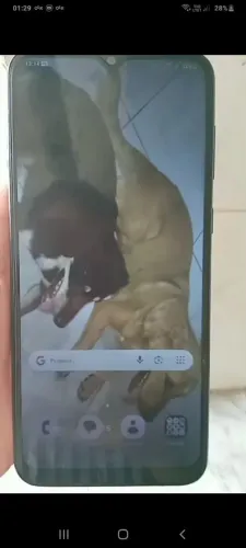Celular