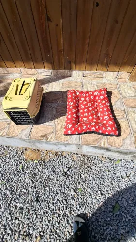 Cama e caixa de transporte para gato e cachorro