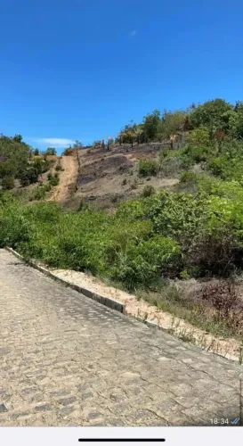 Imóvel para venda possui 8000 metros quadrados em Ipioca - Maceió - AL