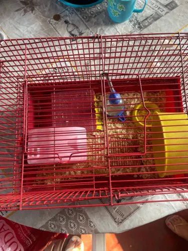 Gaiola para Hamster casinha 130