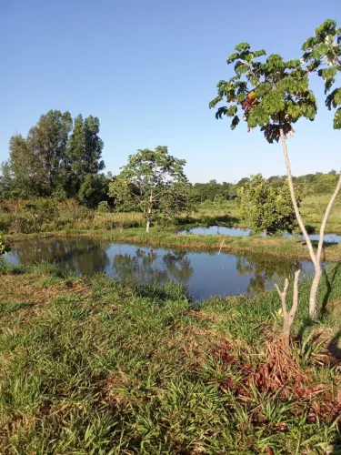 Chácara com 10 açudes - Criação Peixes - Terenos - MS
