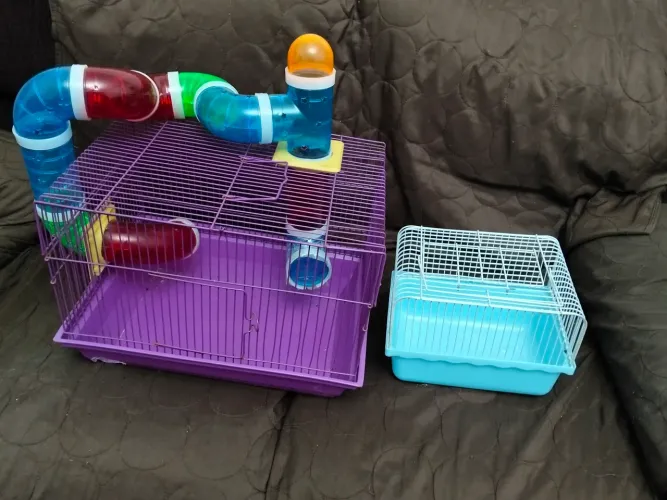 Gaiolas hamster+ usadas