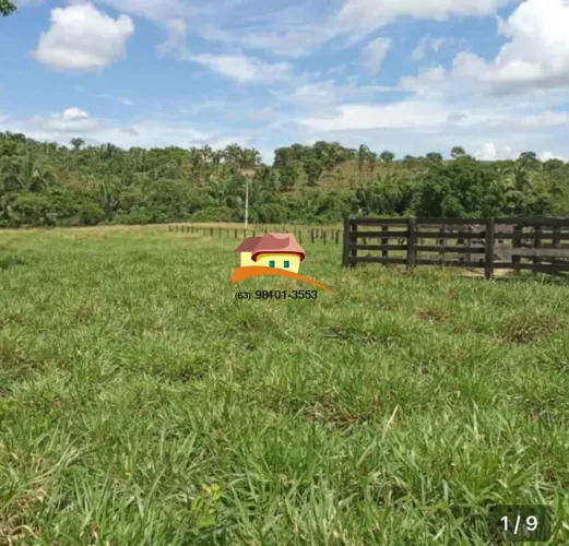 Fazenda para Venda em Miranorte, ampla expansão agropecuária