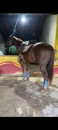 Doc Diego Burity
