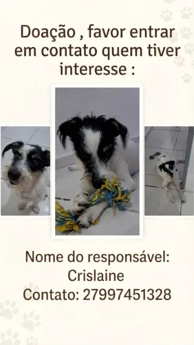DOAÇÃO