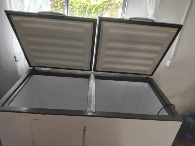 Freezer 220