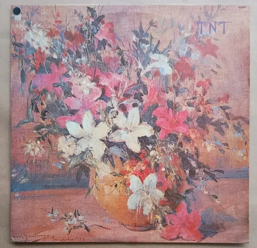 LP TNT - Disco de Vinil