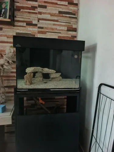 Aquário marinho 