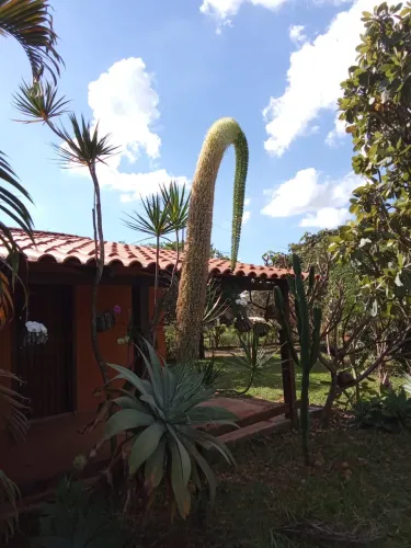 Chácara na Rua 18 - Lago Oeste